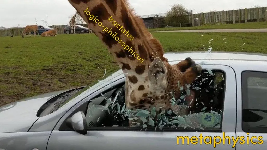 Ludwig Wittgenstein meme