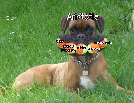 Aristotle meme