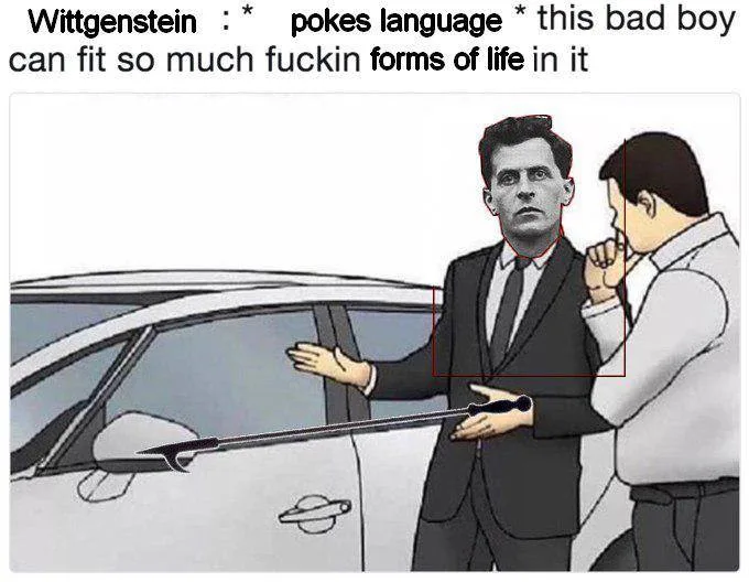Ludwig Wittgenstein meme