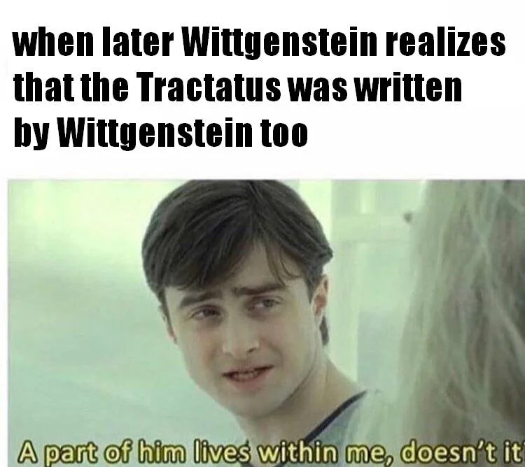 Ludwig Wittgenstein meme