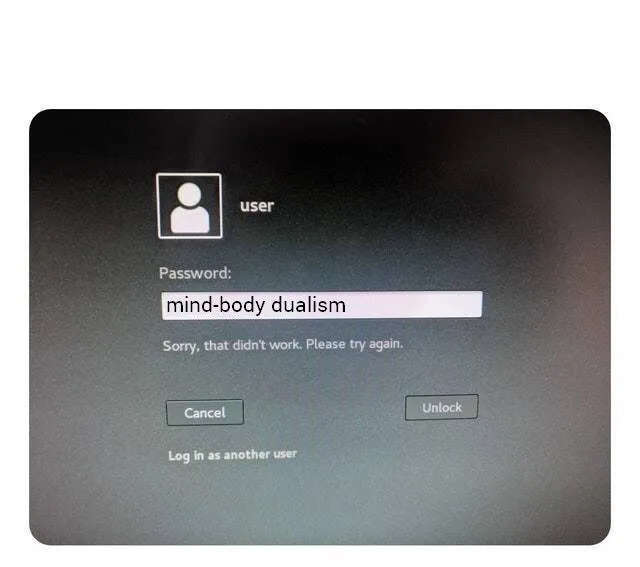 mind-body problem meme