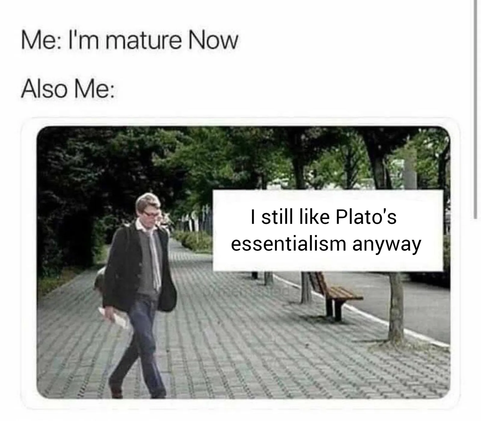 Plato meme