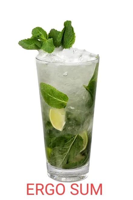 mojito meme