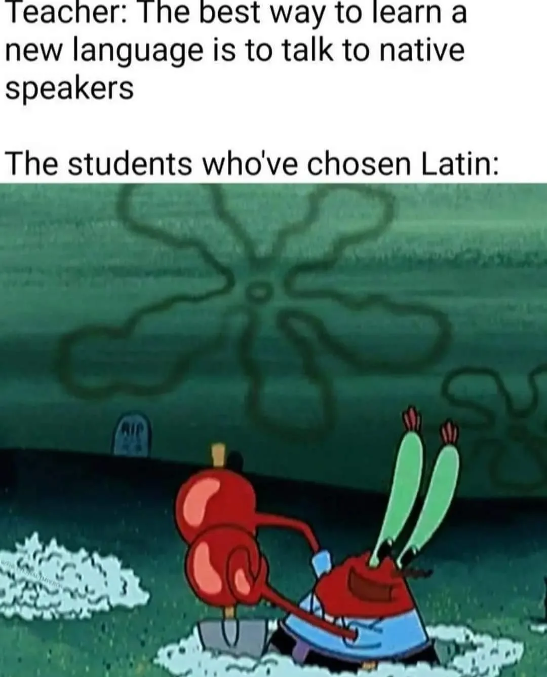 foreign language meme