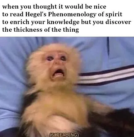 phenomenology of spirit meme