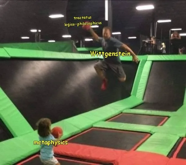Ludwig Wittgenstein meme