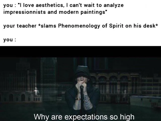 aesthetics meme