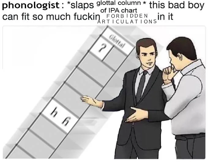 phonology meme