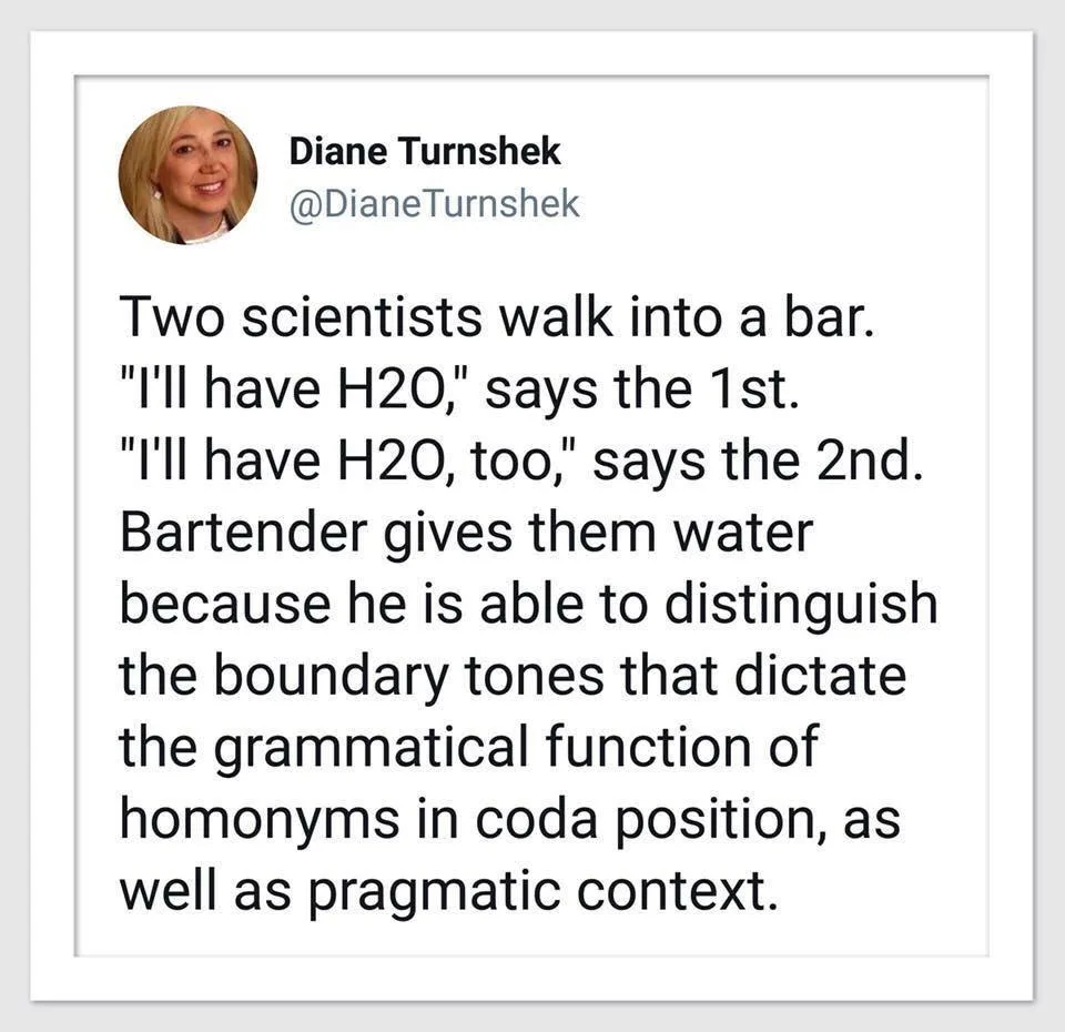 homonym meme
