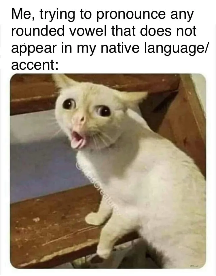 foreign language meme