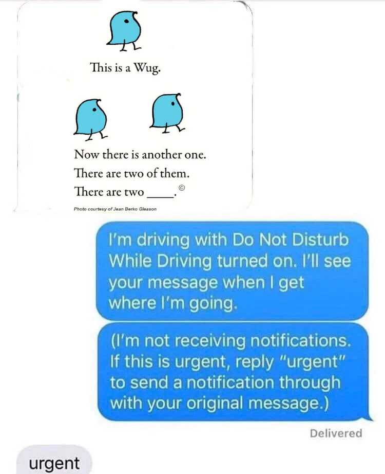 plural meme