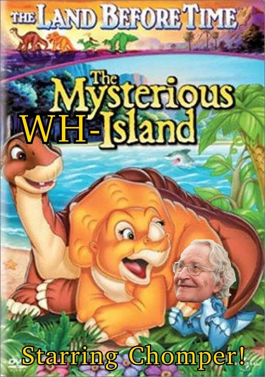 Noam Chomsky meme