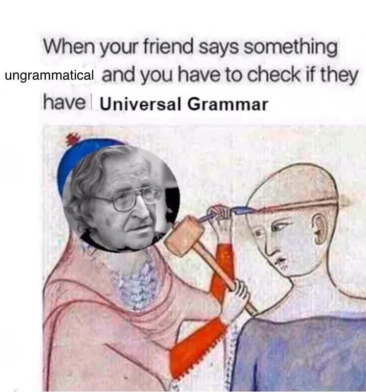 universal grammar meme