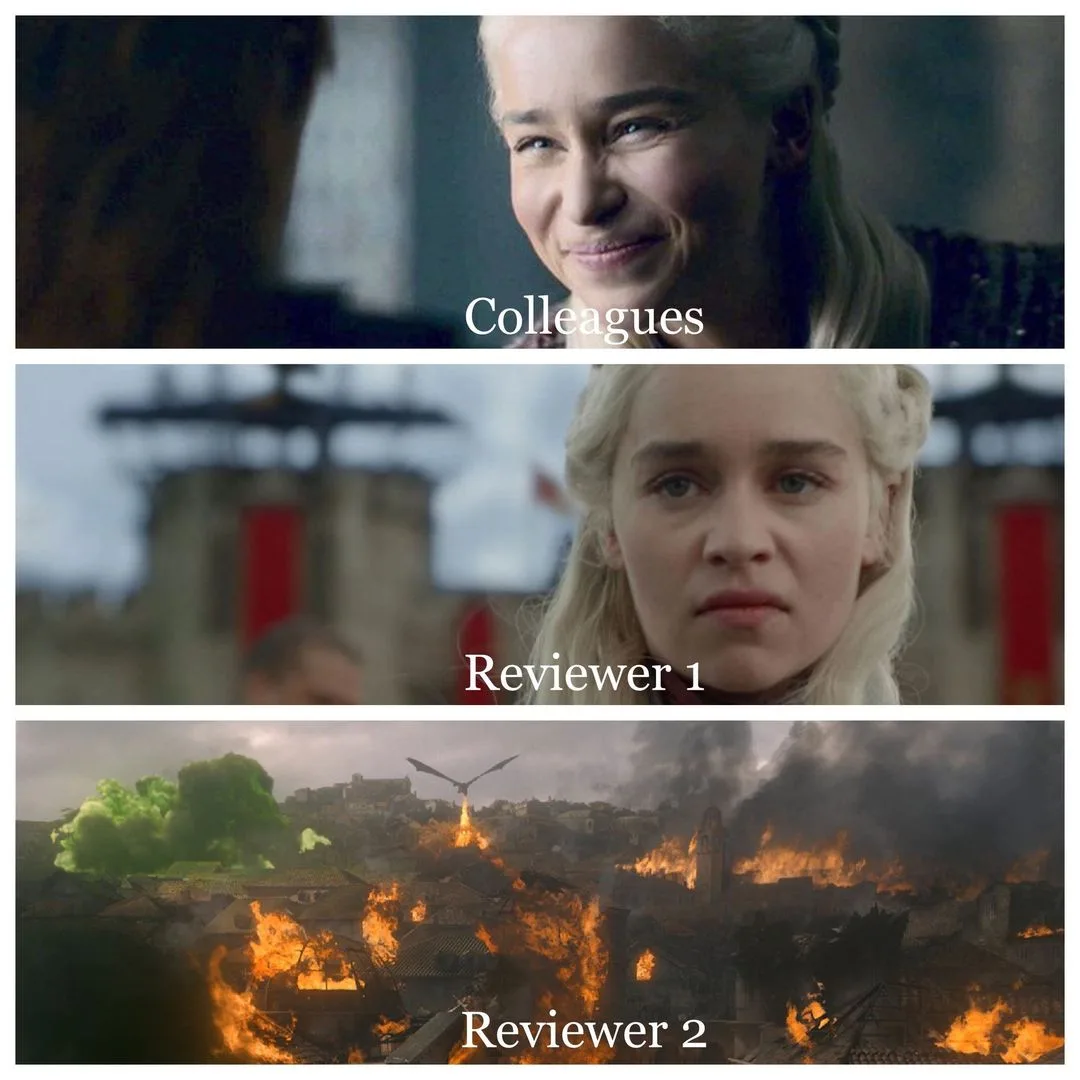 peer review meme