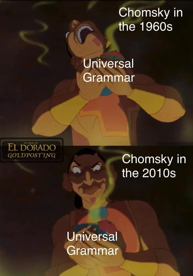 Noam Chomsky meme