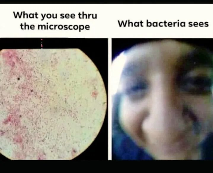 microscope meme