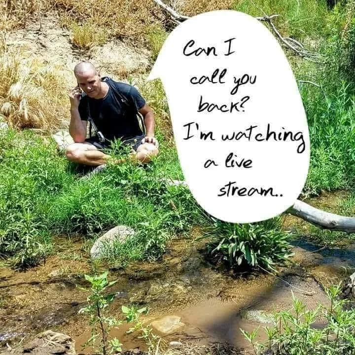 social media meme