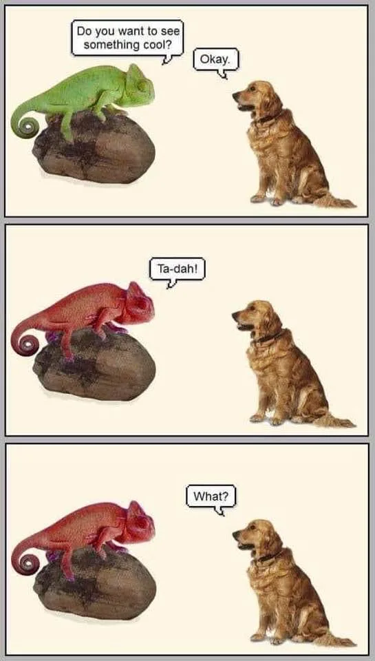 colorblindness meme