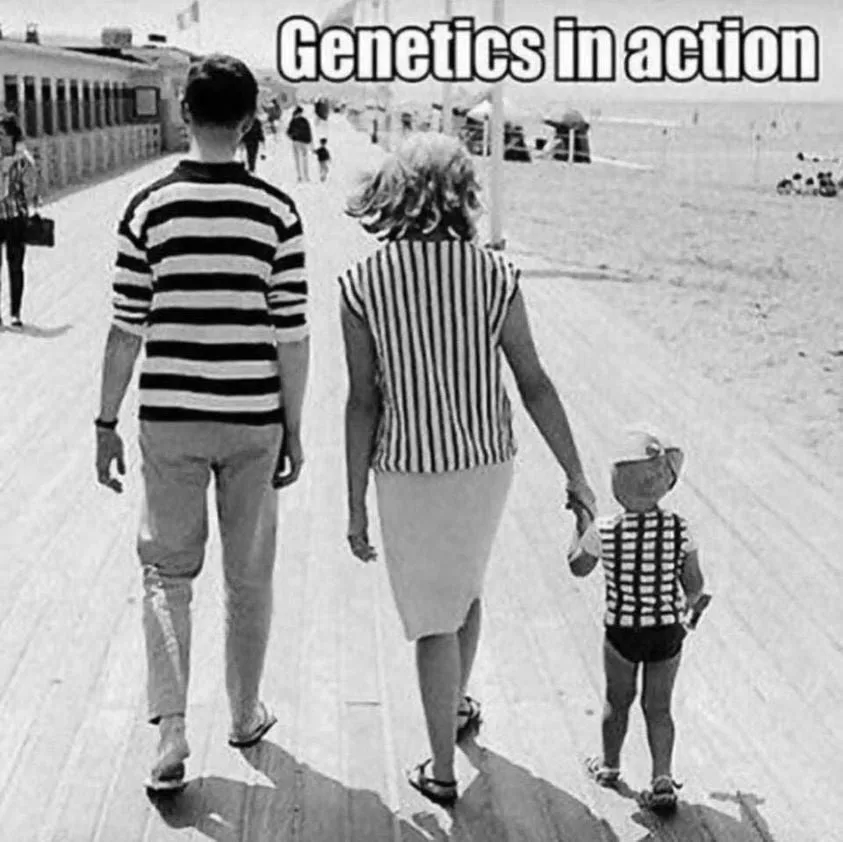 gene meme