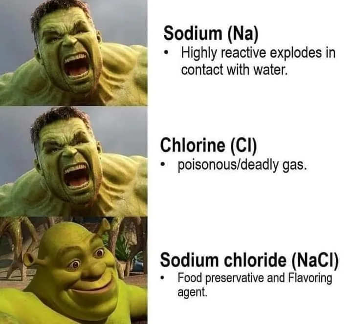 salt meme