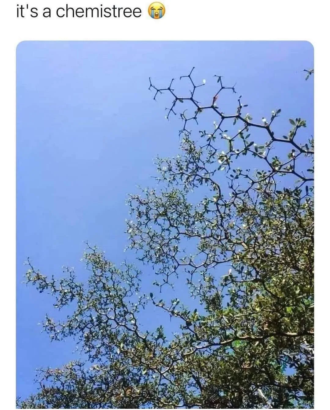 chemistry meme
