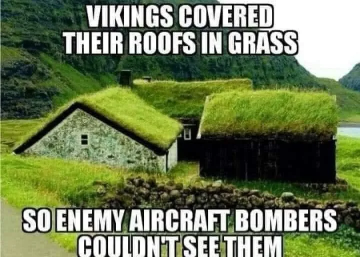 grass meme