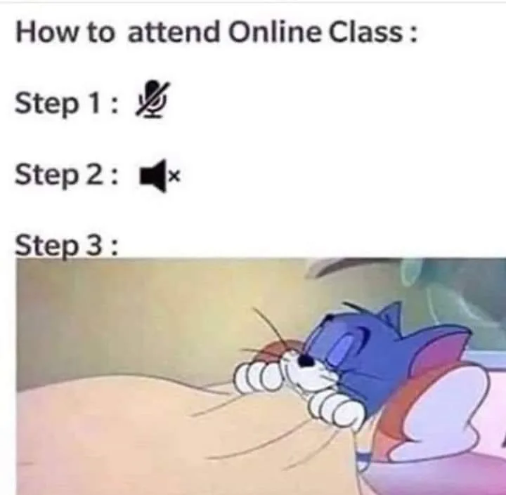 Zoom meme