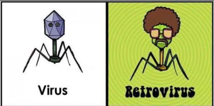 virus meme