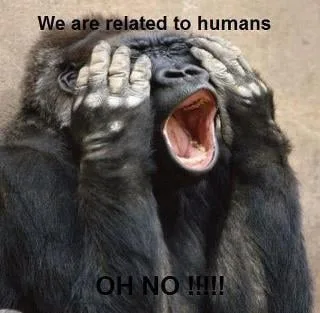 evolution meme