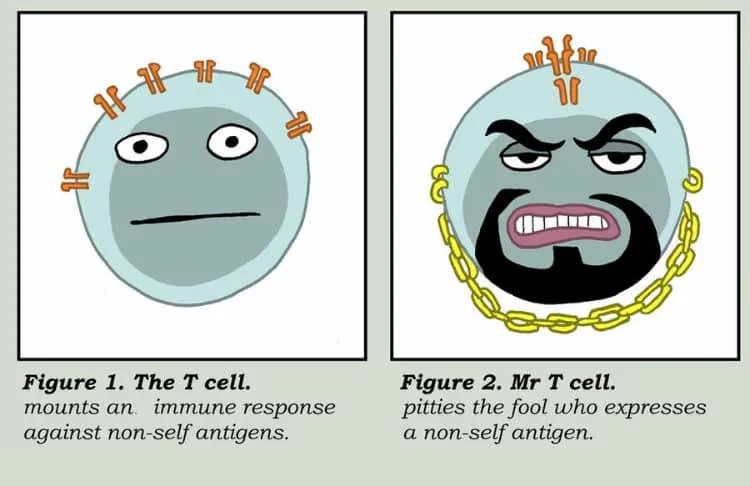 cell meme