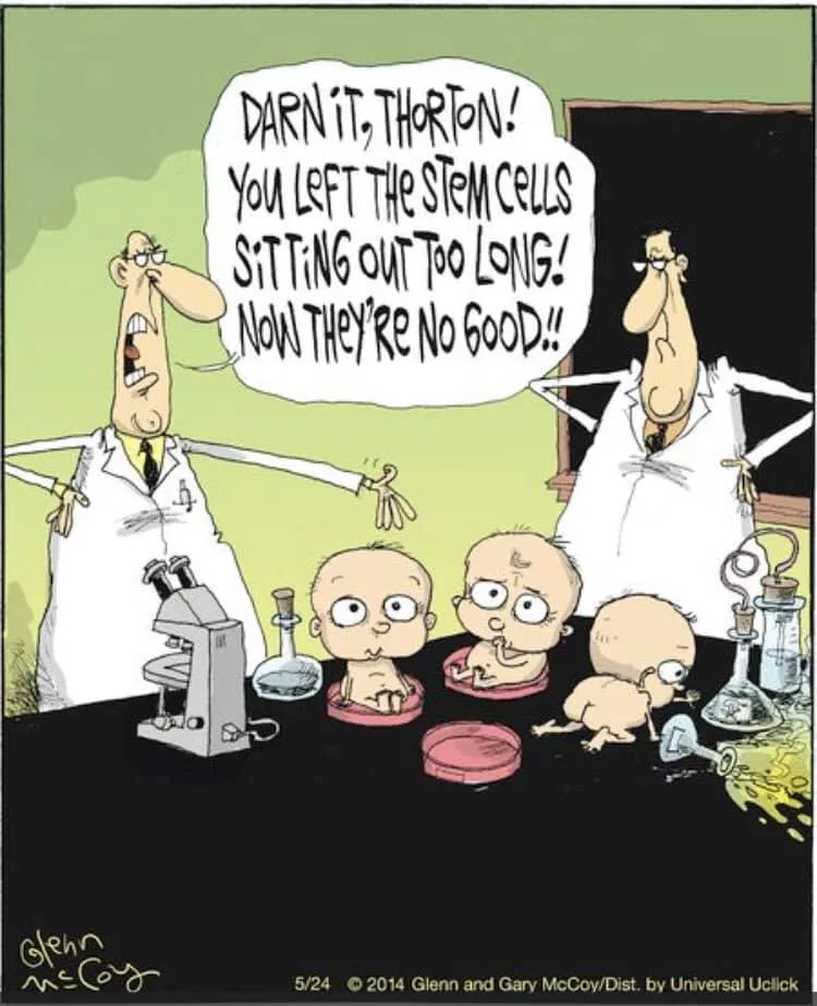 stem cell meme