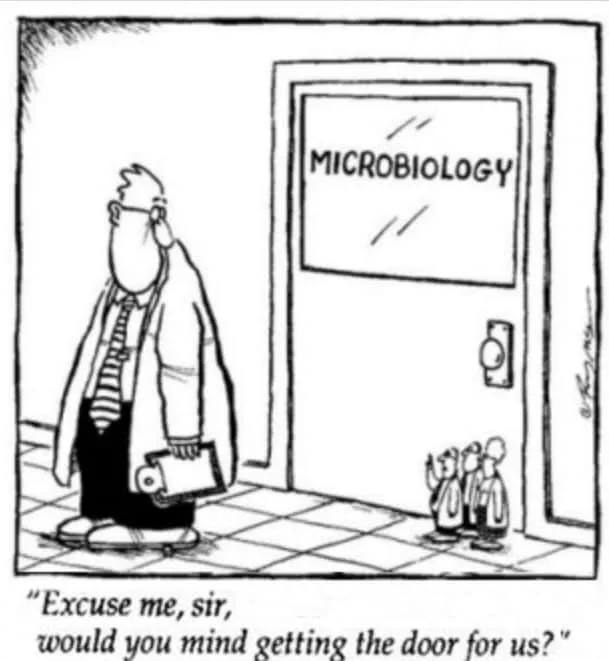 biology meme