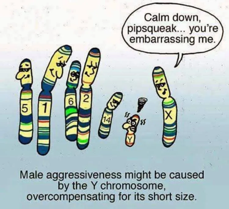 gene meme