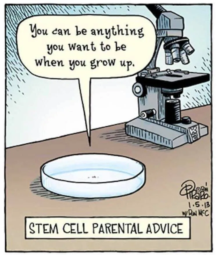 stem cell meme
