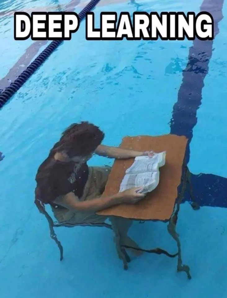 studying meme