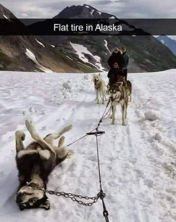 flat tire meme