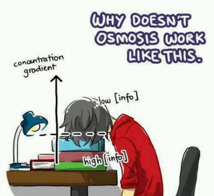 study meme