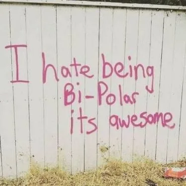 bipolar meme