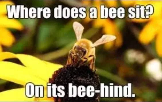 bee meme