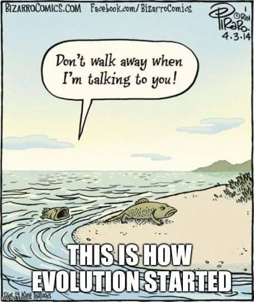 evolution meme