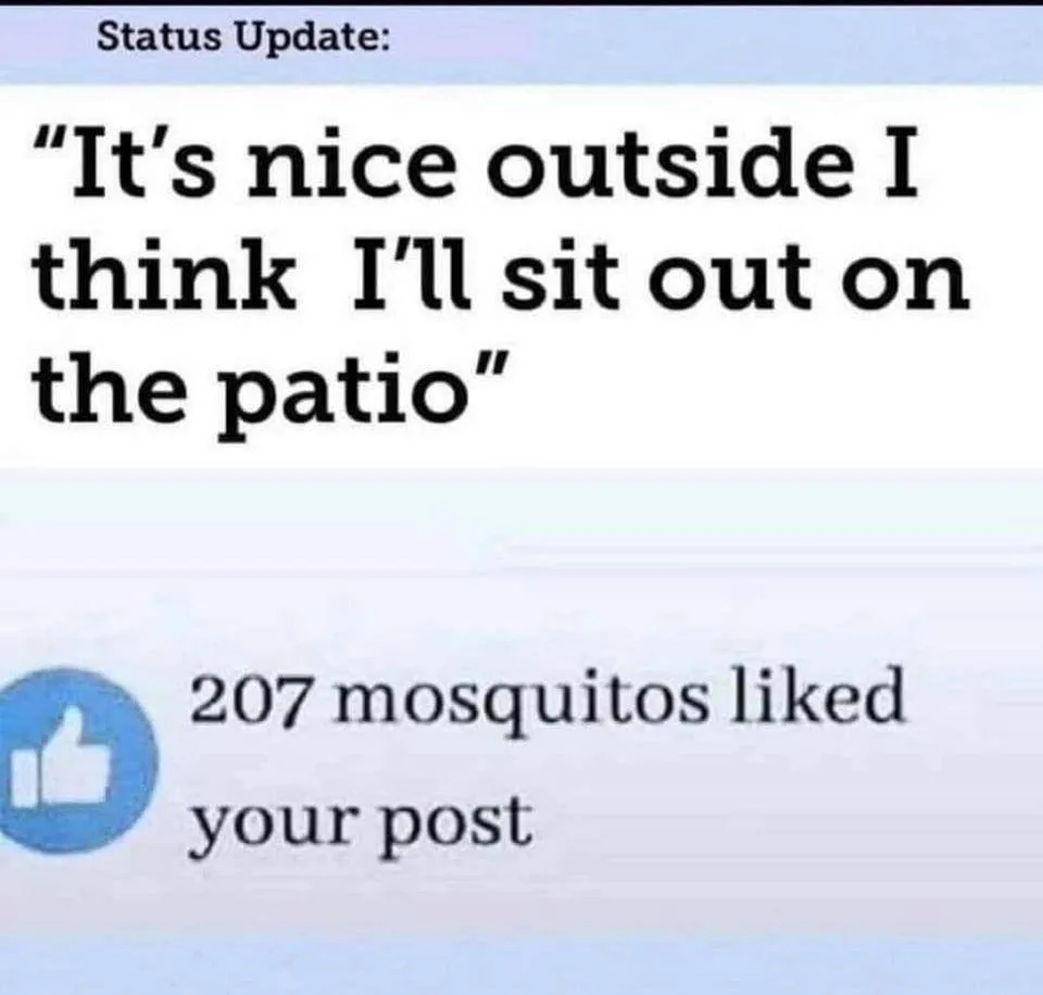 mosquito meme