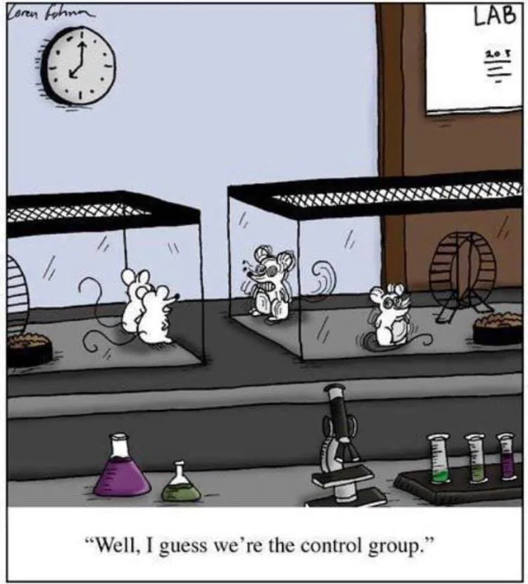 research meme