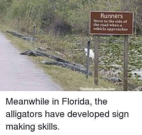 Florida meme