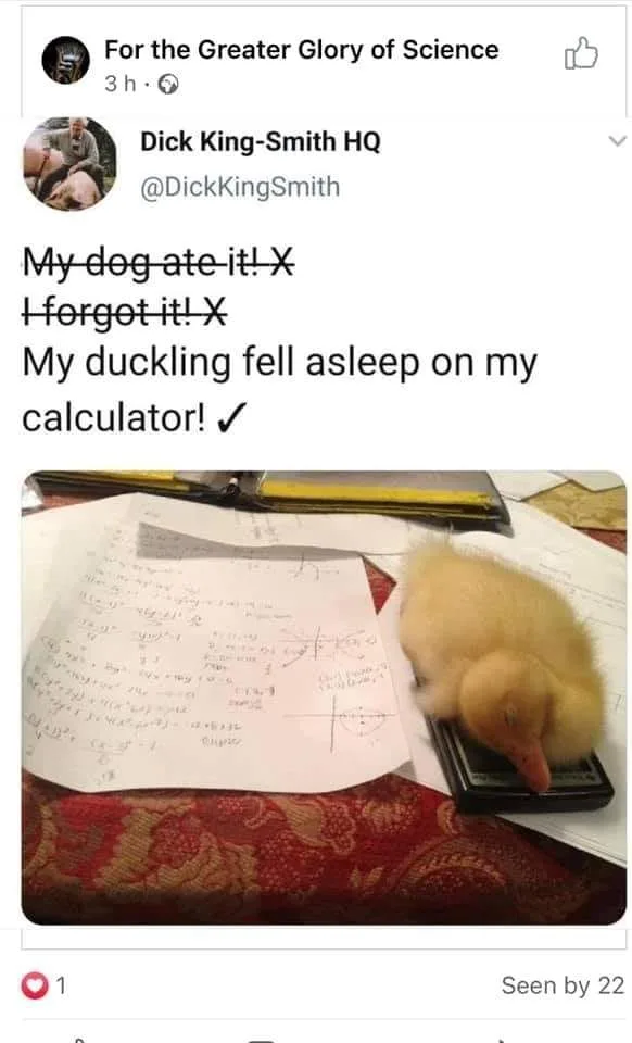 homework meme