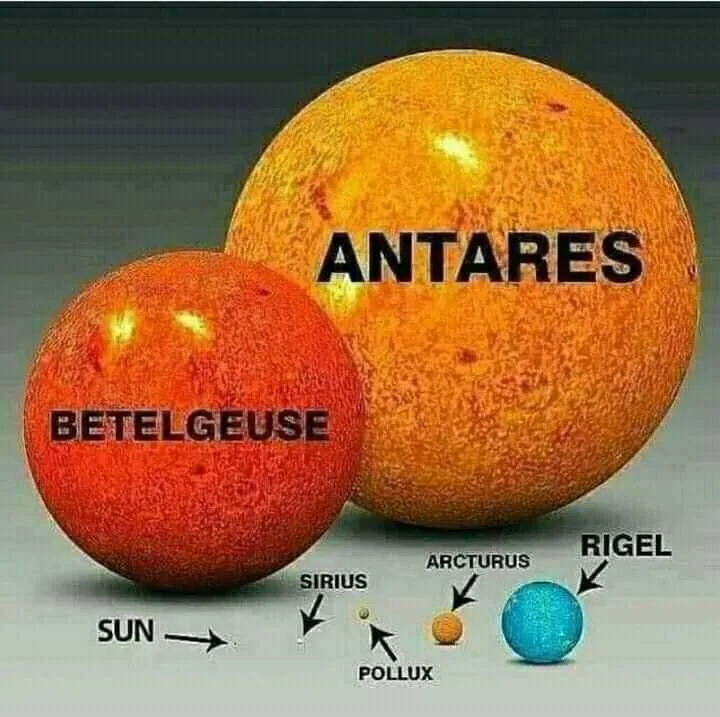sun meme