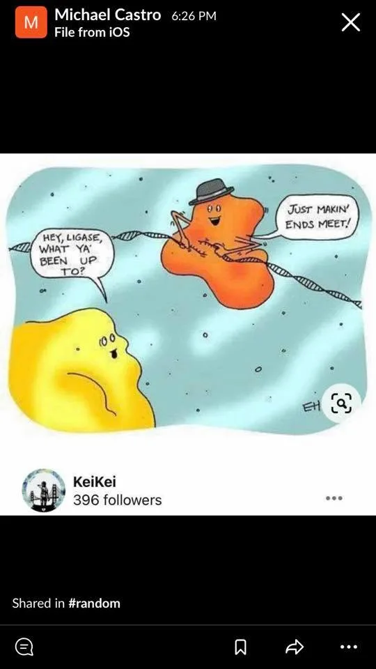 DNA meme