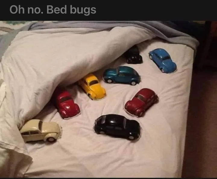 Volkswagen meme