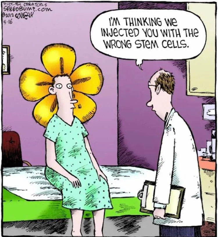 stem cell meme