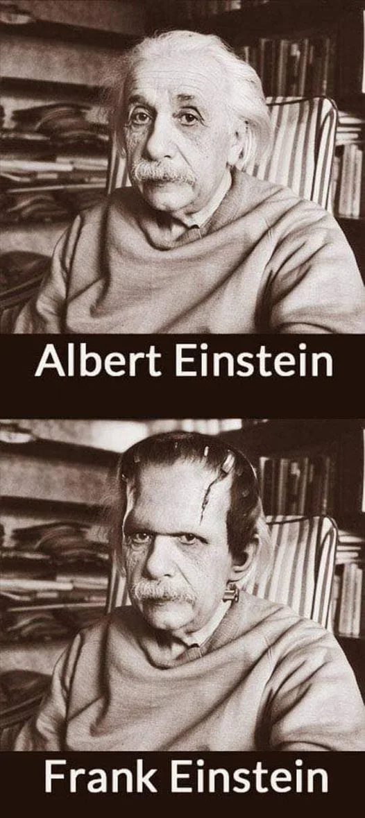 Albert Einstein meme