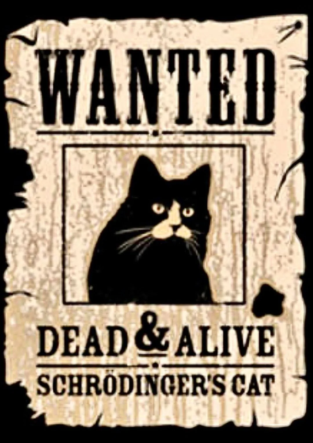 Schroedinger's cat meme